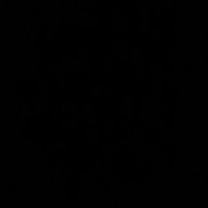 Meet your Posher, Rhonda